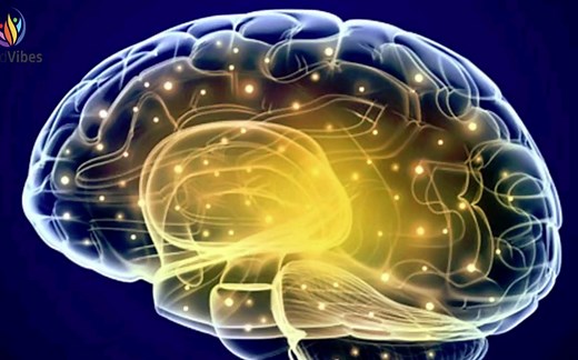 Gamma脑波 /40hz～100hz /精神高度集中 /适合学习