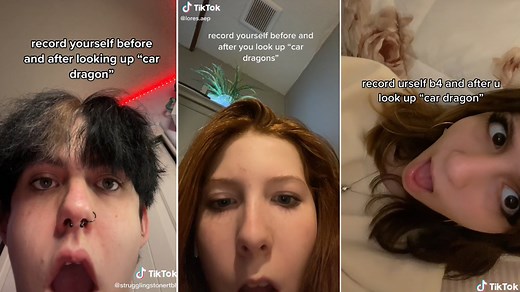 Before and After Looking Up "Car Dragon" | Know Your Meme