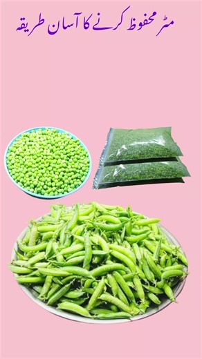 Exploring Creator Search Insights for TikTok