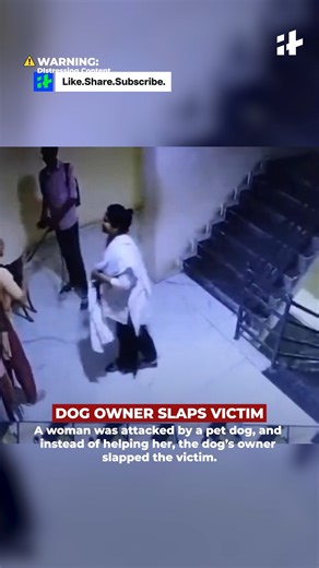 247K views · 749 reactions | In Rajkot, a woman was attacked by a pet dog — and instead of helping, the owner shockingly slapped the victim. The incident has sparked outrage online. #Rajkot #Gujarat #DogAttack #CCTVFootage #ViralVideo #PublicSafety #AnimalControl #NewsUpdate #IndiaNews #BreakingNews | Indiatimes | Facebook