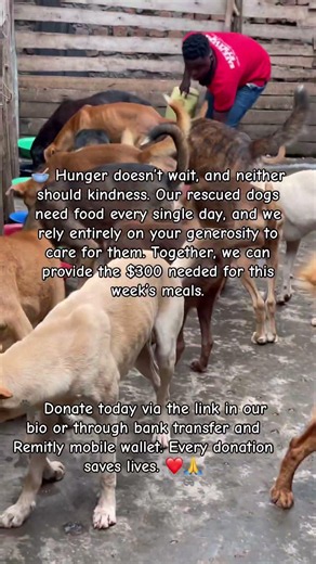 Donate through the link in bio or via bank transfer/Remitly. ❤️
