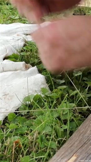 Making the Most Common Woodworking Glue from Scratch #Woodworking #WoodGlue #Carpentry #Woodshop | How To Make Everything