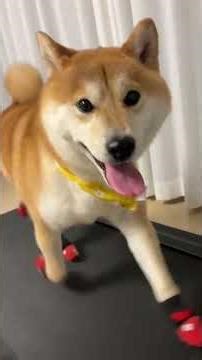 Cute Critical Strike: Win Big with a Laugh