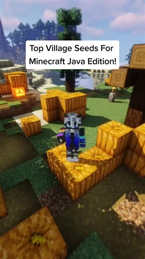 Best Village Spawns Java Edition! #foryou #minecraftjavaedition #minecraftjavaseed #minecraftseeds #FordMaverick #JuntosImparables #BombPopAwards #fy
