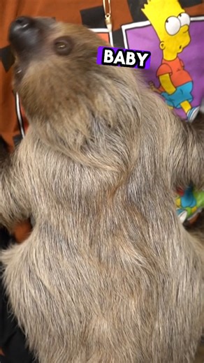 23 reactions | The Ultimate Behind-The-Scenes Experience! Book A Private “Jay Tour” Today At https://thereptarium.com/pages/private-tour | The Reptarium | Facebook