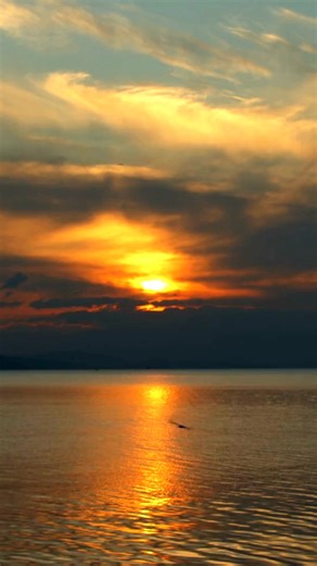 Start a new series today with ON A NIGHT LIKE THIS...The series features a blended family of first responders and every novel is filled with drama, mystery, and romance! | Barbara Freethy | Facebook