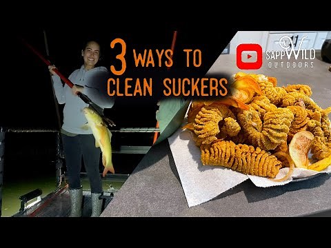 3 Ways to Clean Suckers | How To | River Fish Gigging Series
