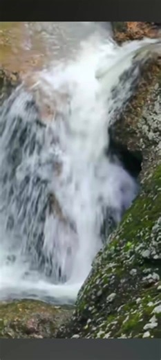 ፍቅር ብቻ — አማራዬ እና ኢትዮጵያ ለዘለዓለም