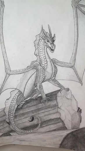 Ok maybe not my most realistic but I still like it!🤷🏼‍♀️#qibli#wof#artist#art#pencilart#dragon#sandwing