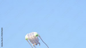 Flying kites in the sky, kites in China has a history of more than two thousand years, is China's intangible cultural heritage. Stock Video