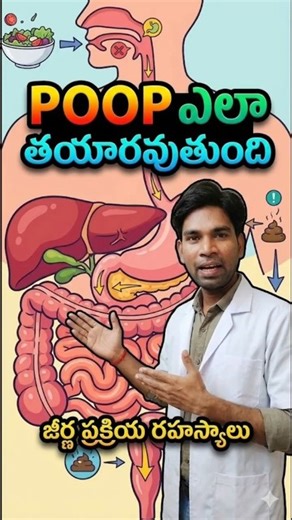 What Happens to Food Before Poop 💩 | How Is Poop Made Inside Our Body