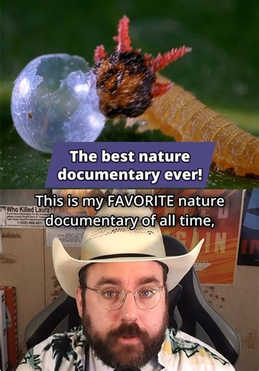 🐛🐞🪲😍🥰🍿 I LOVE this documentary! But somehow it only has 24k logs on Letterboxd??? Do people watch these kinda things and not log it? i would watch a MILLION hours of this, I don’t know why we haven’t taken this same approach with a lot more footage. It’s so beautifully shot technically, but, even past that, I wanted to talk about the really incredibly sensibility and art that the filmmakers brought to it. It’s the only thing I’ve seen that is super Hollow Knight core in terms of being bugs