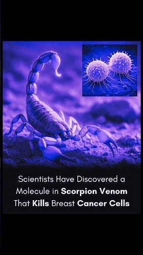 🦂 Scorpion Venom Destroys Breast Cancer Cells | Breakthrough Discovery from Brazil!
