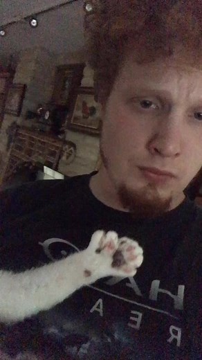 WHAT IS THE PROBLEM, CAT? A #narrorator asks his #cat who is completely #insane #voiceactor