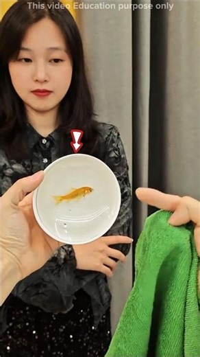 Magic Trick That Hide Fish! #shortvideo