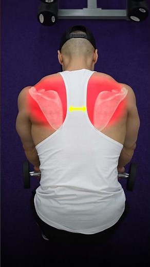 Rear Delt Dumbbell Fly Form Guide