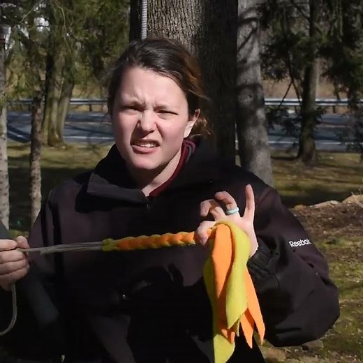 How to Use the Flirt Pole Dog Toy