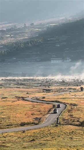 Embracing Peace: The Universal Language for All