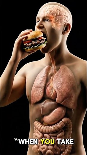 From Bite to Bloodstream: How a Burger Affects Your Body
