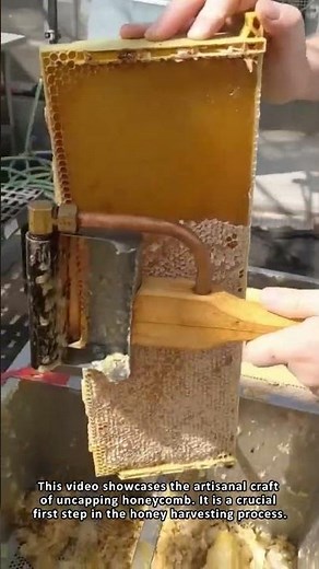 Watch The Delicate Art of Uncapping Honeycomb