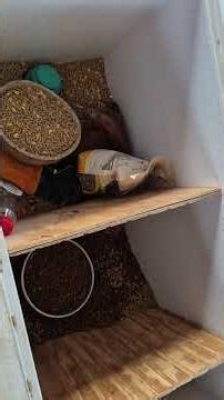 Chest Freezer with Compartments for Feed Storage