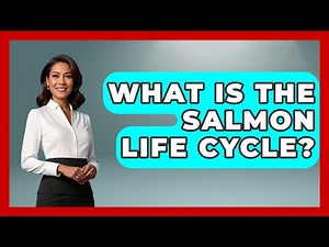 What Is The Salmon Life Cycle? - The Marine Life Explorer