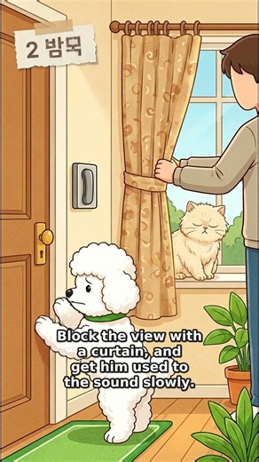 Why Does My Dog Bark So Much? 5 Real Reasons 🐶