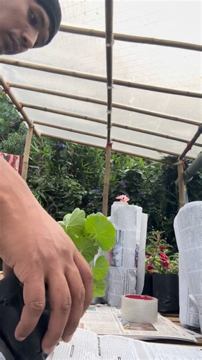 22K views · 588 reactions | We are happy that finally after little...