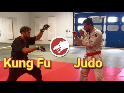 Sparring Kung Fu vs Judo Style vs Style