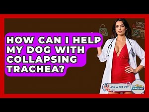 How Can I Help My Dog With Collapsing Trachea? - Ask A Pet Vet