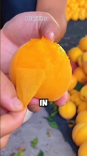 White Peach vs Yellow Peach 🍑 Taste vs Nutrition
