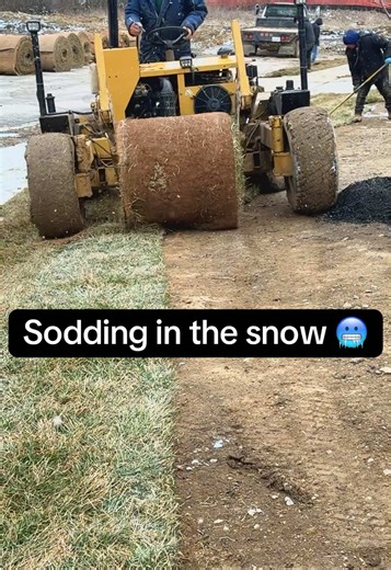 Sodding in Winter Snow: Tips for Small Businesses
