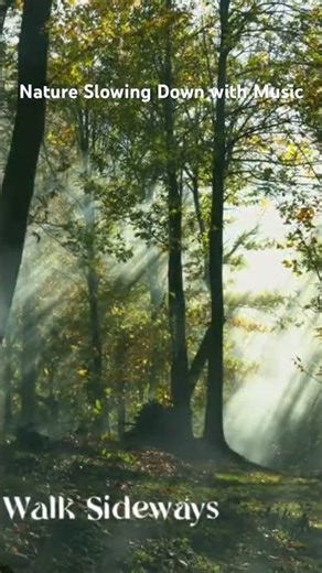 Indie Soft Drift 🌬️🎵 #indie #soft