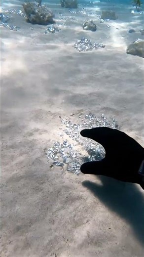 Discovering Hidden Diamonds on the Ocean Floor”