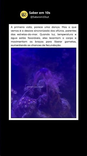 Esse movimento ajuda na reprodução #curiosidades