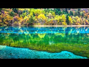 Daniil Shafran - JC Bach - Cello Concerto in C minor