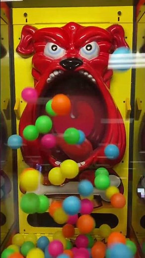 Dog pounder arcade game