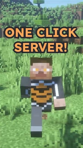 ONE click SERVER setup! #server