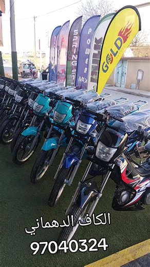 Vidéos de Hamdi Chasseur Haroun (@hamdi.chasseur.ha) avec son original - 𓆩 𝓐𝓹𝓹𝓵𝓮_𝓶𝓾𝓼𝓲𝓬 𓆪