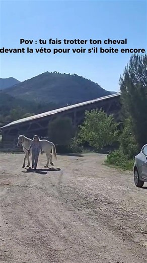 Ce moment où tu espère qu’il ne boîte plus 🥵 Ça vous est déjà arrivé ? #cheval #blessure #veto