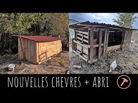 How to make a shelter with pallets and very little money (tips).
