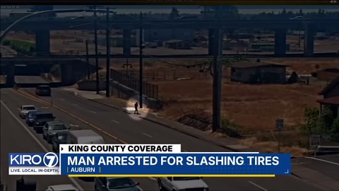 VIDEO: Man arrested for slashing tires
