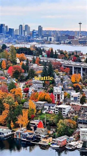 466K views · 31K reactions | Loving the fall colors in Seattle  #seattle #seattlewashington #fall #autumn #authentic | Memories in a Shot | Facebook