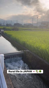 14K views · 730 reactions | Rural life in JAPAN  #japan #ruraljapan #countryside #lifeinjapan | Jennifer Muramatsu | Facebook