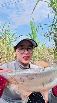 Quá bất ngờ với bài mồi này nước đục vẫn có cá lớn ăn mạnh Oanh vlog