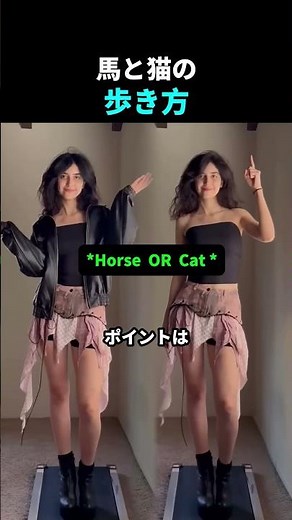 How horses and cats walk