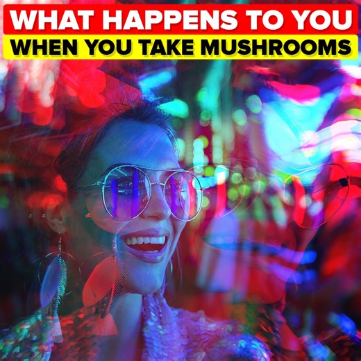 57K views · 465 reactions | Magic mushrooms have become the latest in illegal substances, gaining popularity for their medicinal uses, but what actually happens inside your body and mind when you take psychedelic mushrooms? Don't miss today's trippy new video to find out how mushrooms affect your body and why some researchers believe these shrooms have a lot of potential benefits if used properly. | The Infographics Show | Facebook