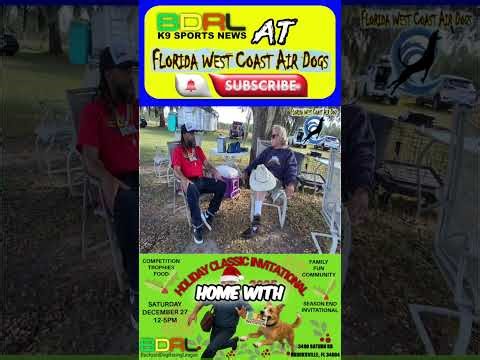 Dock Diving: The Every Pet Dog Sport, Its Not What You Think