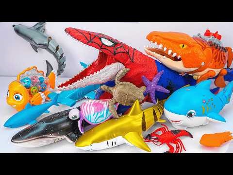 [🐋toy asmr🐋] ZURU Robo Spiderman Shark & Sea Dinosaurs & Shark & Dino Battle Toys ASMR🌟Review Toys