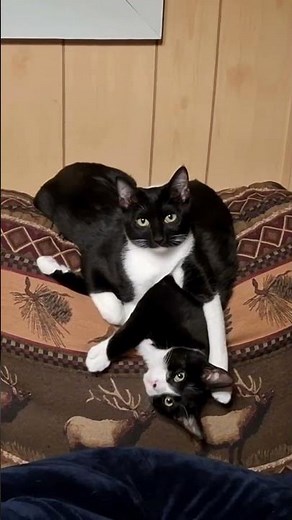 How Do I Explain This?